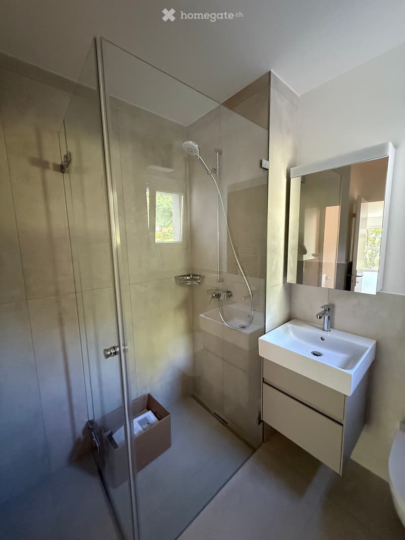 2,5 Zimmerwohnung zu vermieten (3)