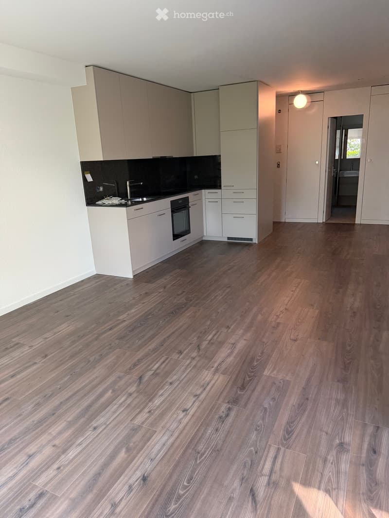 2,5 Zimmerwohnung zu vermieten (2)