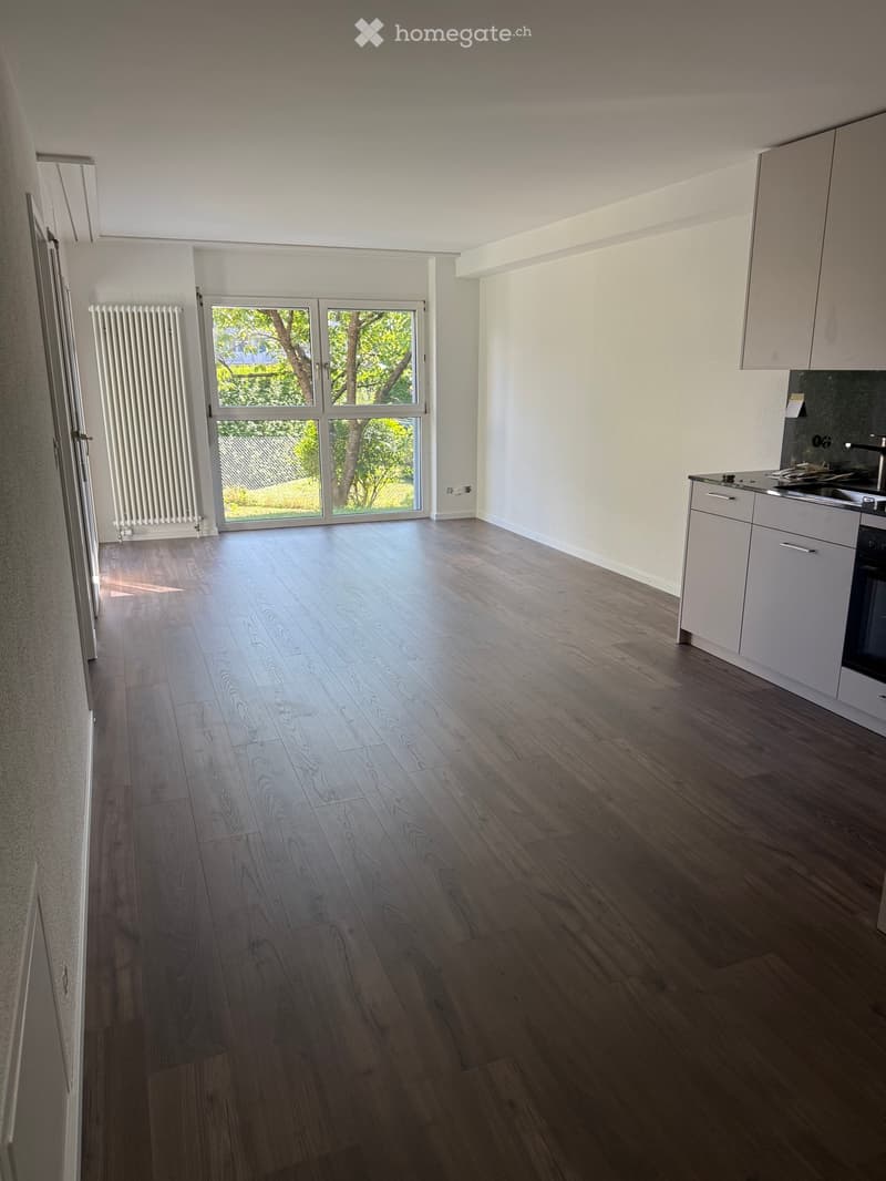 2,5 Zimmerwohnung zu vermieten (5)