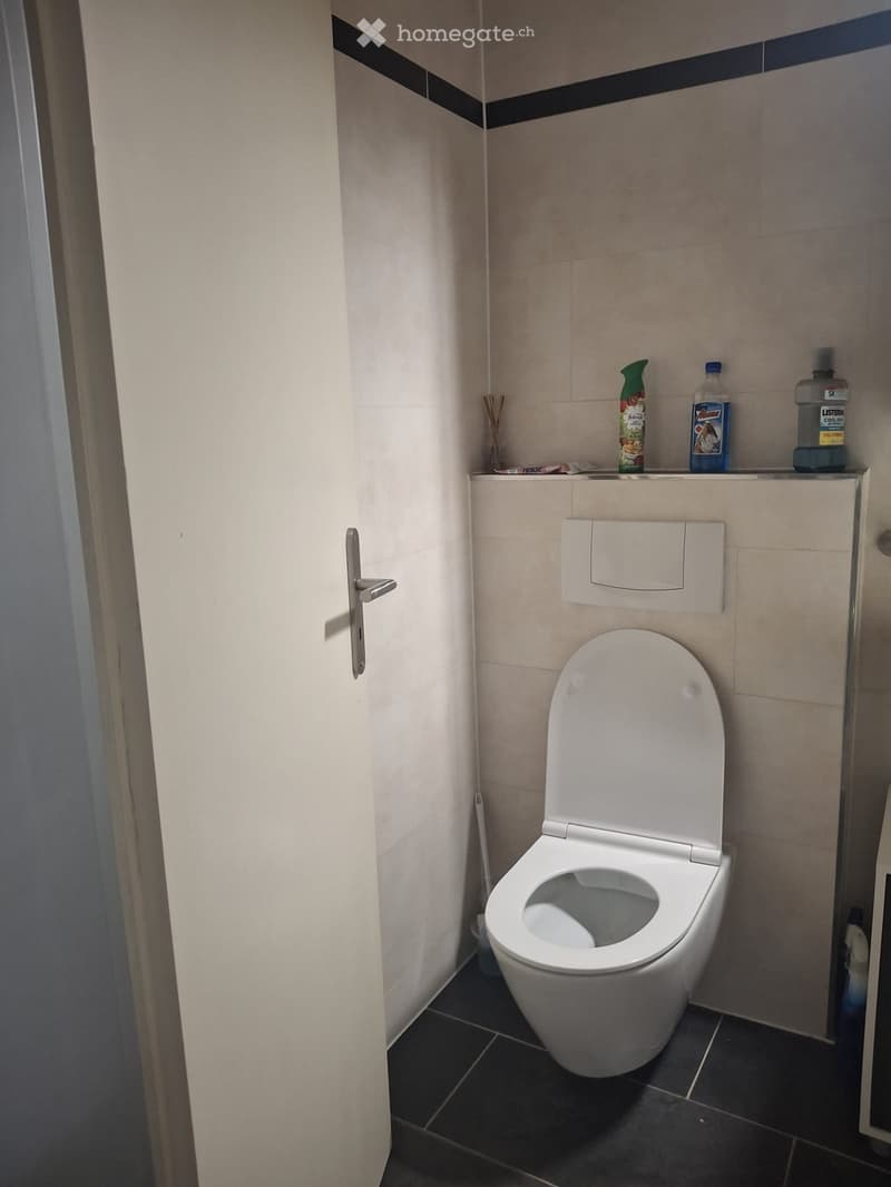 Wohnung zu vermieten 3,5 Zimmer (4)