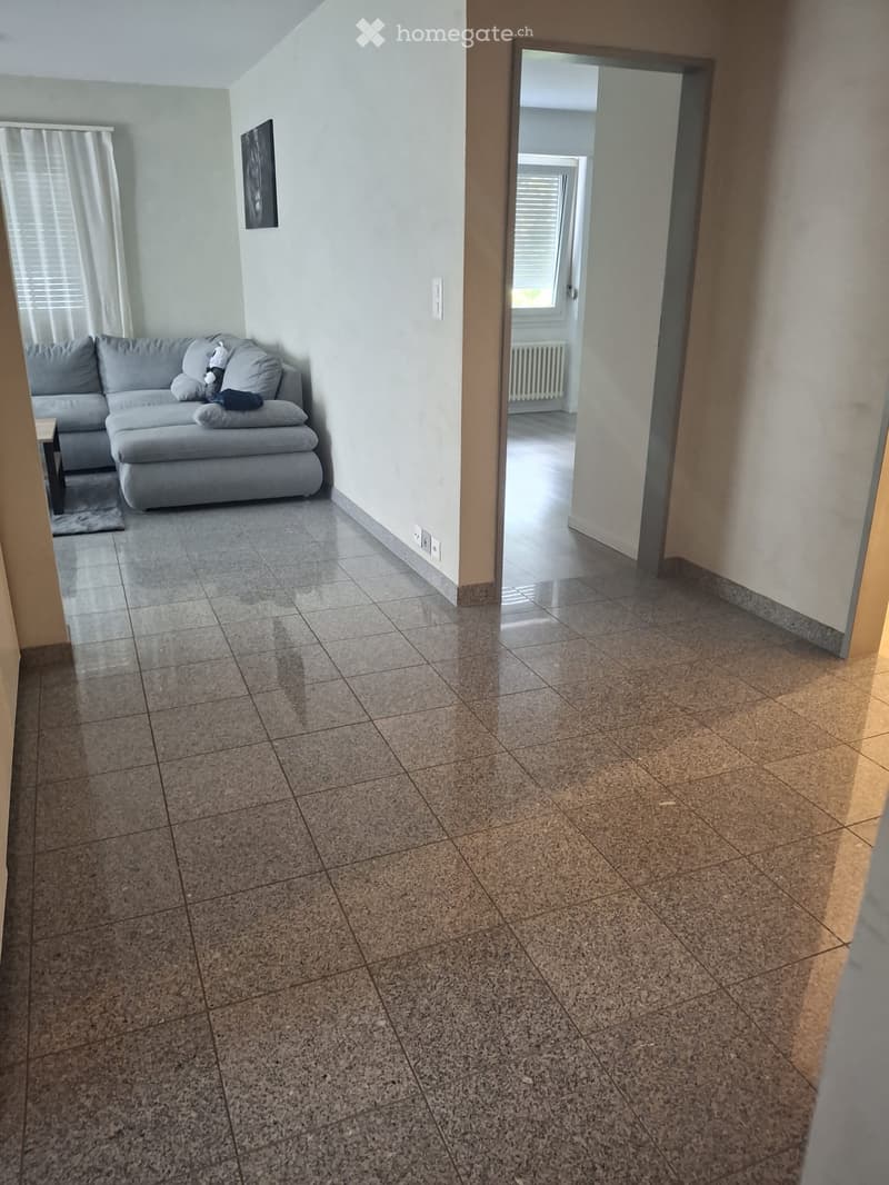 Wohnung zu vermieten 3,5 Zimmer (3)