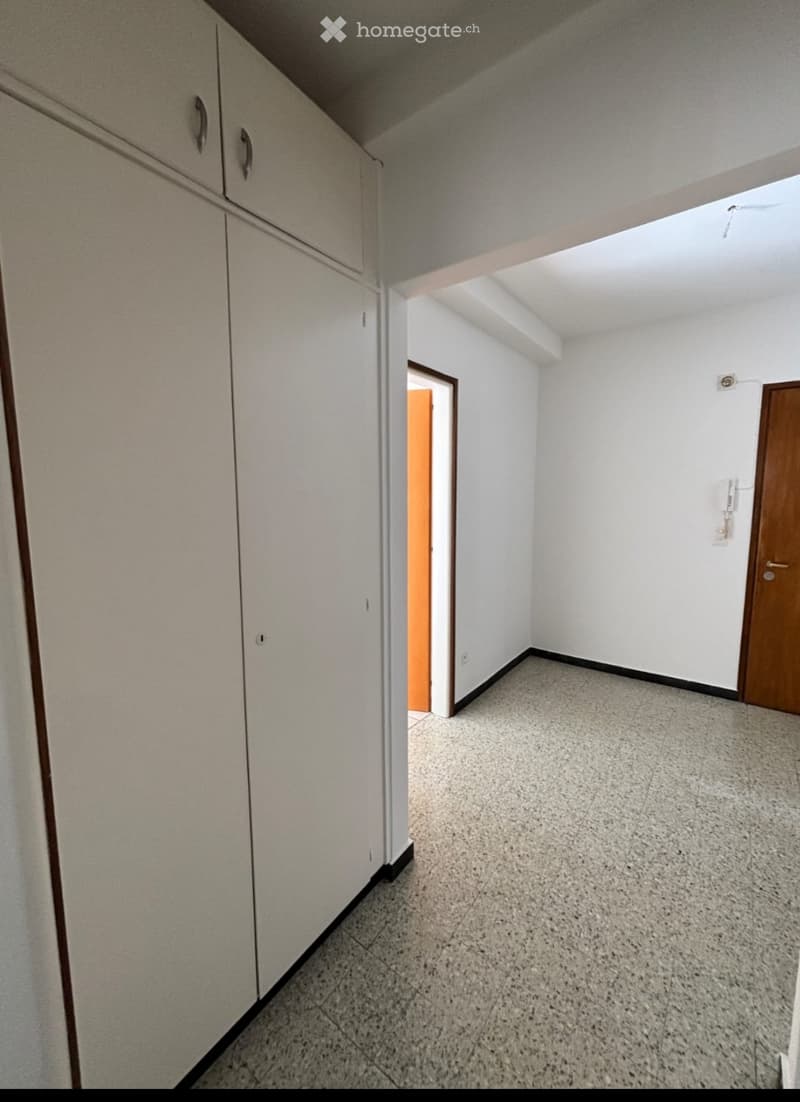 Affitto appartamento 2.5 (3)