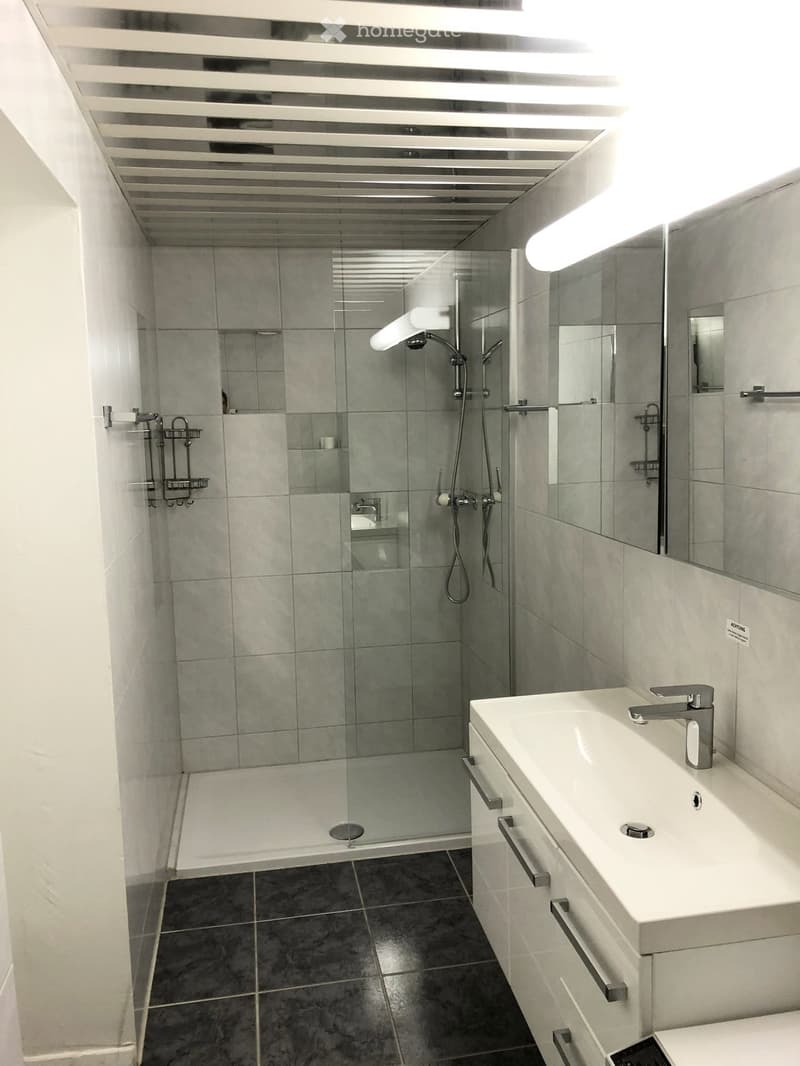 Schöne 2.5 Zimmerwohnung zu Vermieten im EG (3)