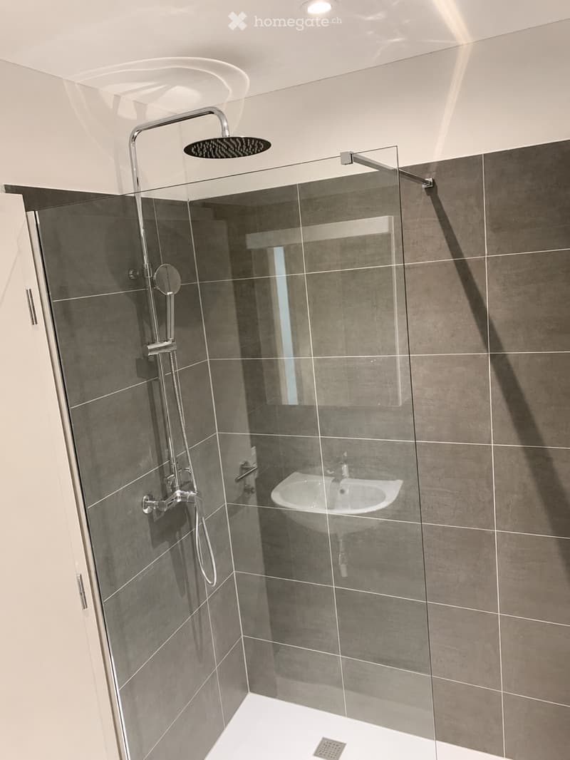 Moderno appartamento 3.5 a Cadenazzo (4)