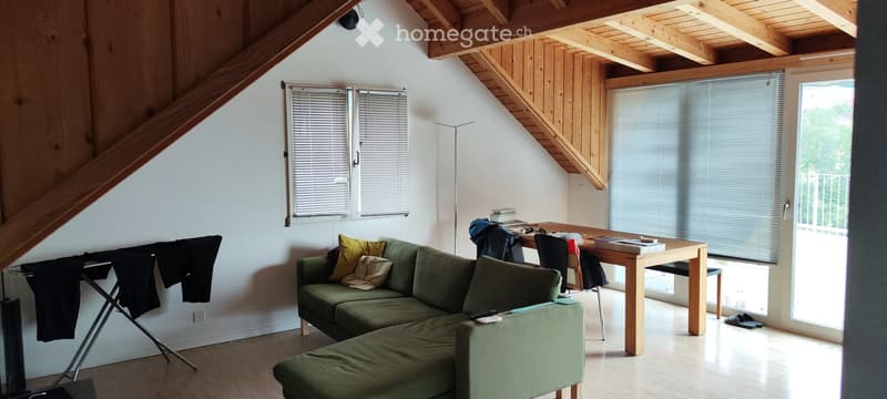 3 Zimmer Dachgeschoss Wohnung, Dachterasse 45m2 Lobsigen (4)