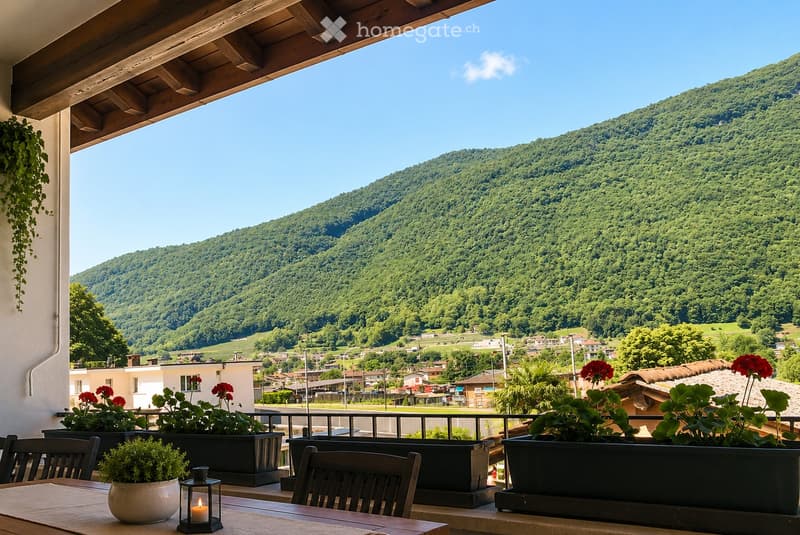 Casa 2,5 locali con loggia e due cantine naturali (1)