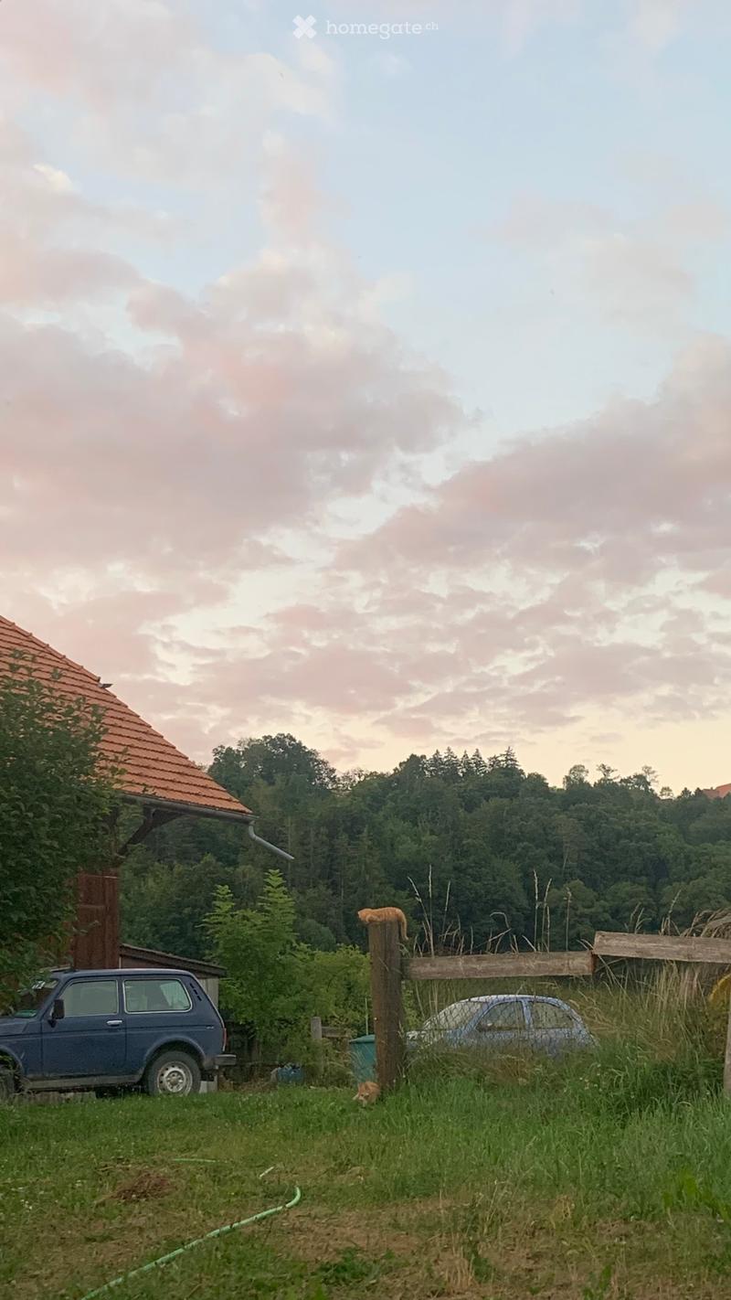 2 Zimmer WG zu vermieten VB (4)