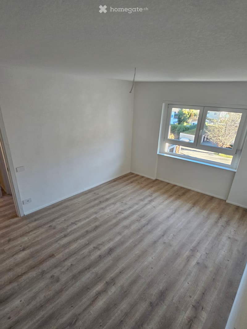 Appartamento 2.5 locali ristrutturato a nuovo (4)