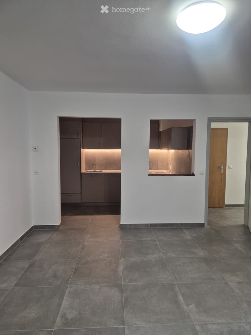 Appartamento completamente rinnovato (5)