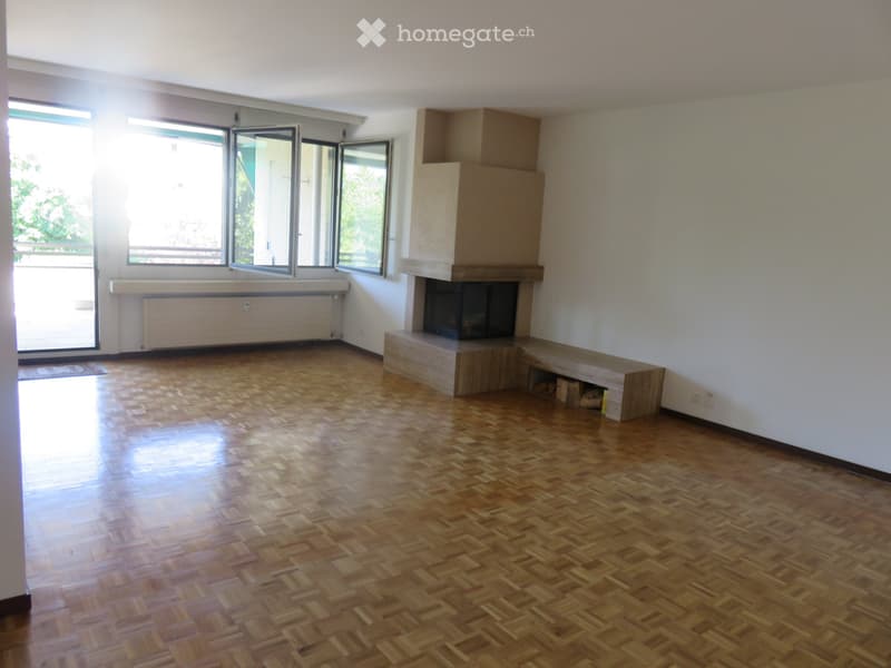 Charmante zentrale Wohnung (1)
