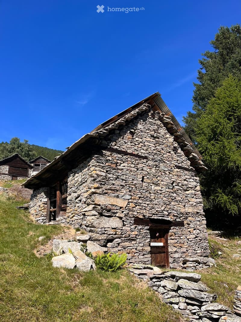 Rustico da riattare (1)