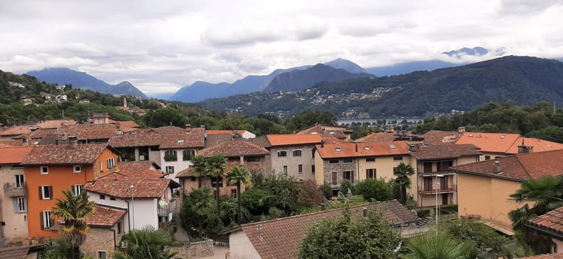 Affitto appartamenti 2.5 locale (1)