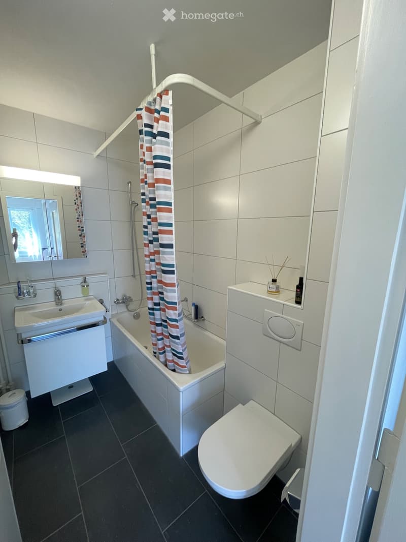 Schöne 3 Zi-Wohnung im Marziliquartier (3)