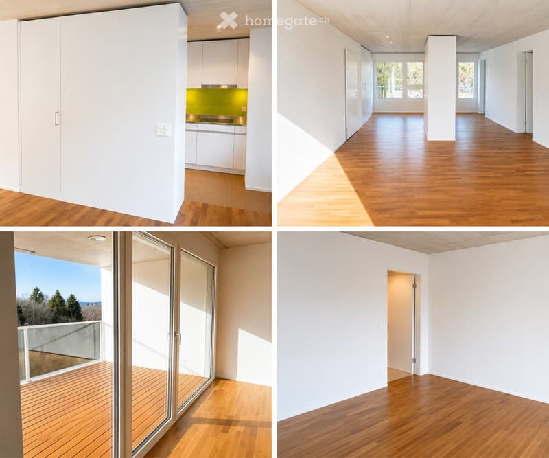 LUZERN Nachmieter per 1.9. gesucht (2)