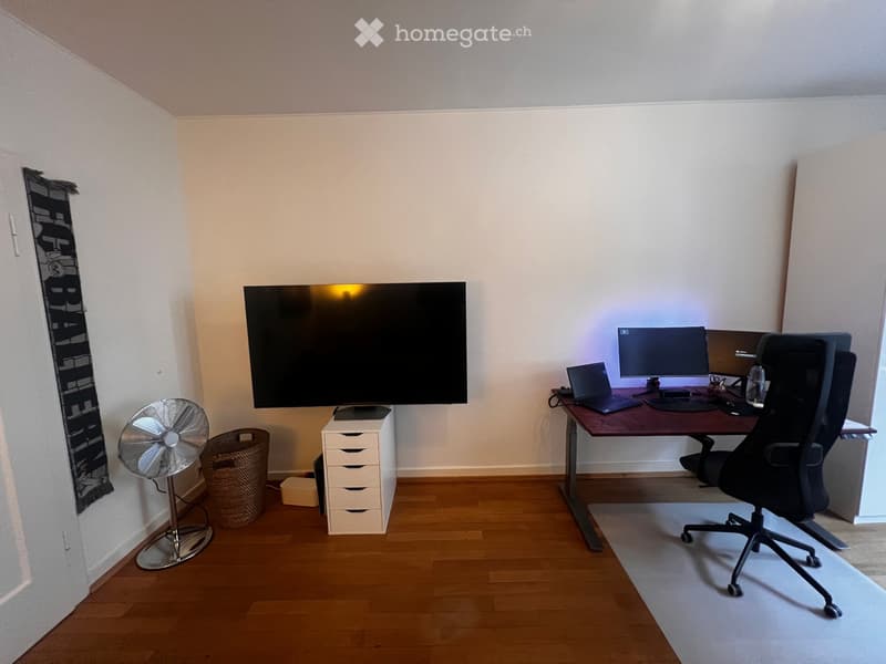 Enge | Lake Apartment | 1.5 Rooms | Temporary | Aug to Sep (3)