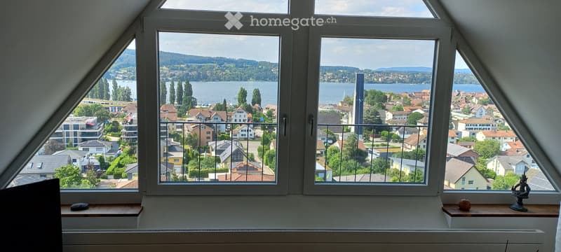 3-Zimmer Whg mit Panoramaseesicht über den Untersee (5)
