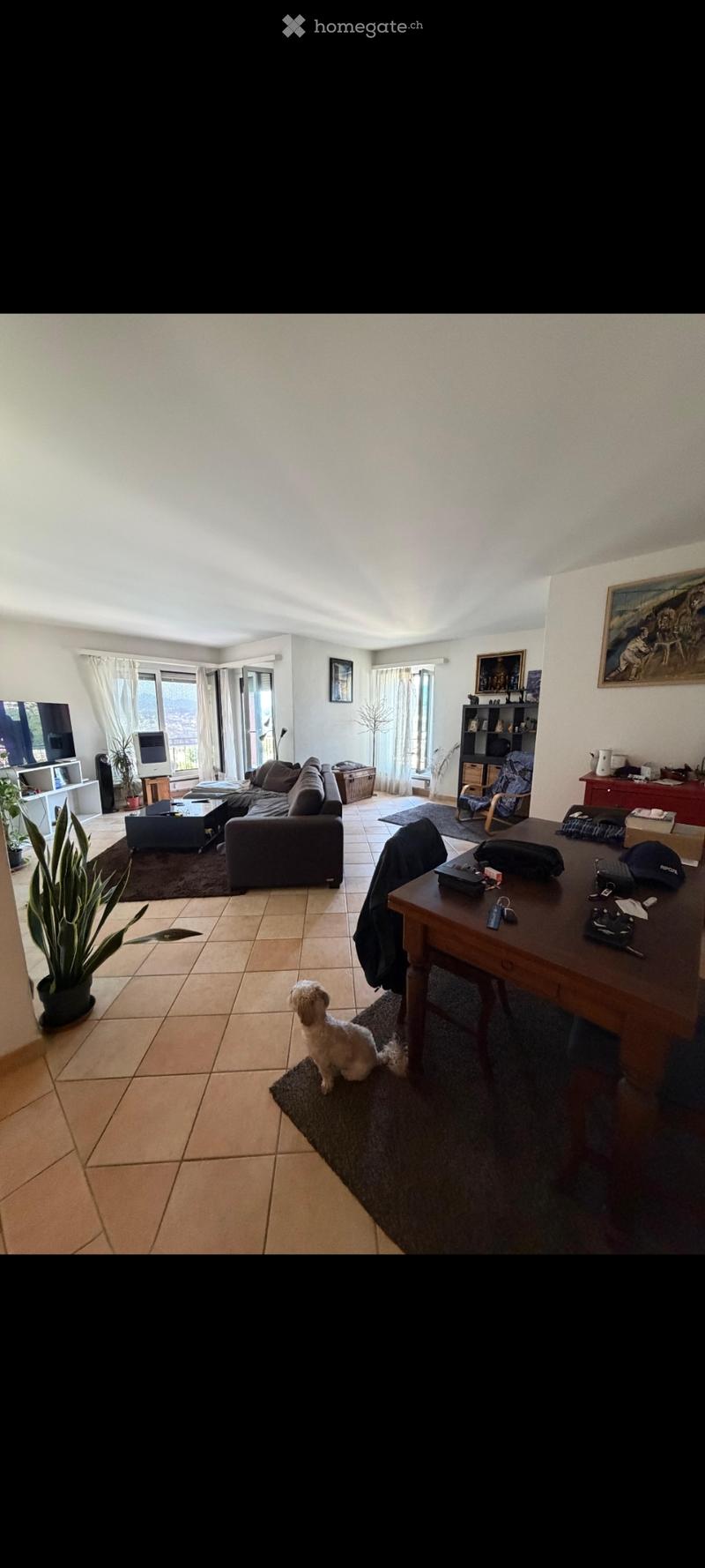 Bellissimo 3.5 a Pregassona con piscina condominiale (2)