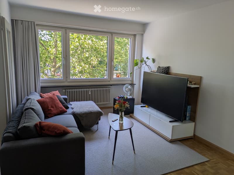 Möbelierte Wohnung mit 2 Balkon für September - November (1)