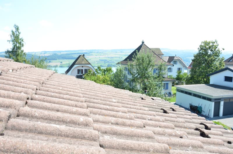 Seeblick-Idylle in ruhiger Sackgasse - Beinwil am See (3)