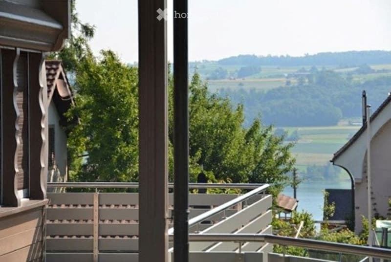 Seeblick-Idylle in ruhiger Sackgasse - Beinwil am See (2)