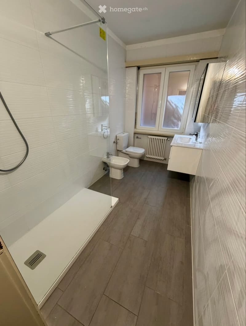 Appartamento 4.5 locali con vista lago - Caslano/Pura (4)