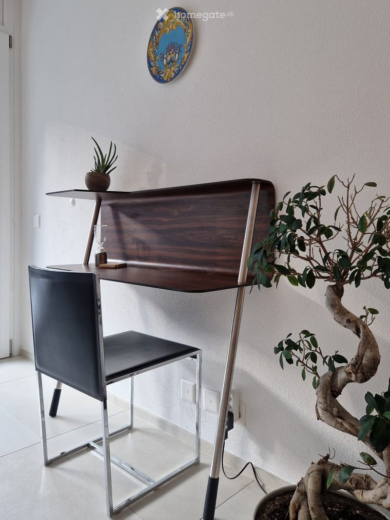 Modern 1-Room Apartment in Lugano Cadro (3)