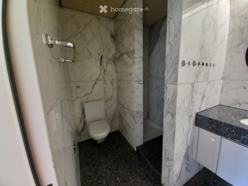 Grosse Wohnung zu vermieten (4)