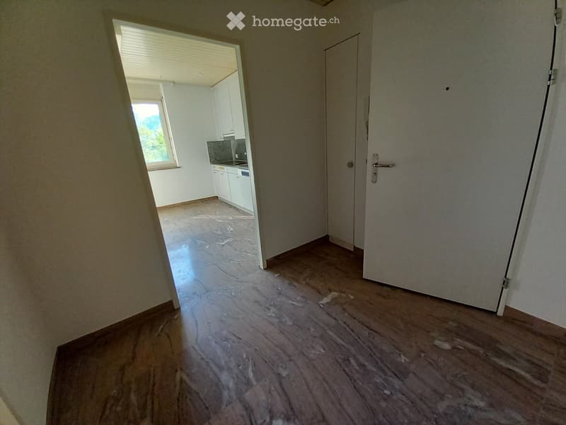 Grosse Wohnung zu vermieten (2)