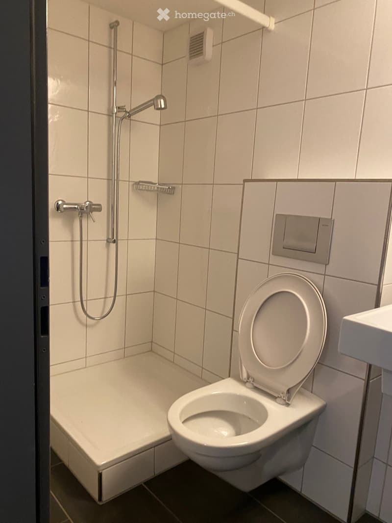 Büro oder Gewerberäume für stilles Gewerbe (4)