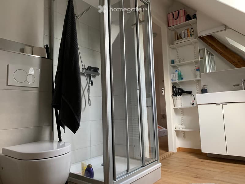 Charmante Dachwohnung (3)