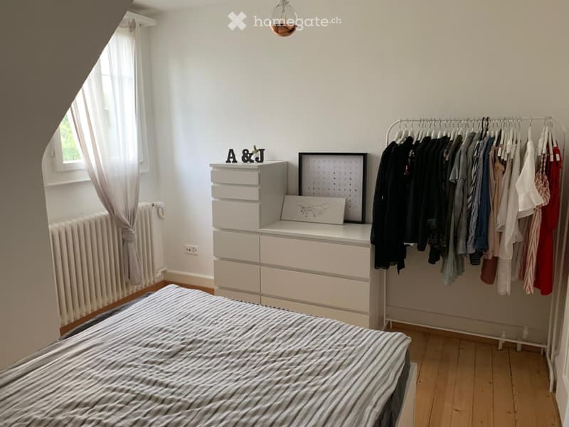 Charmante Dachwohnung (1)