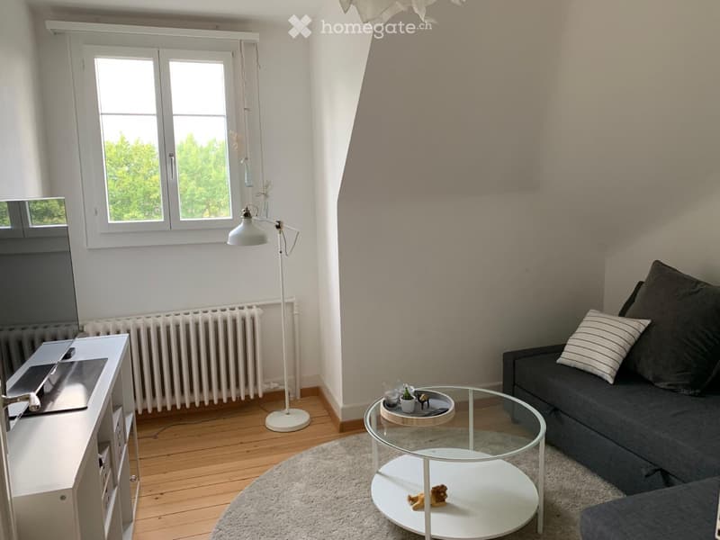 Charmante Dachwohnung (4)