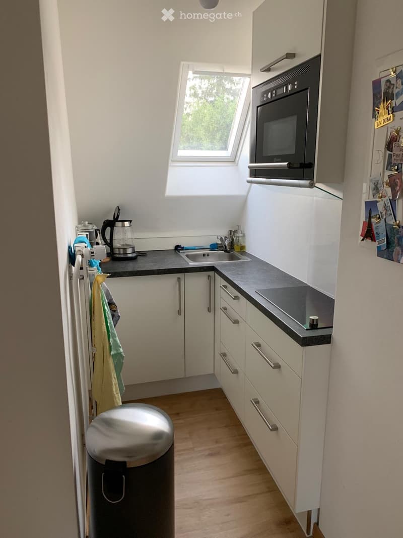 Charmante Dachwohnung (5)