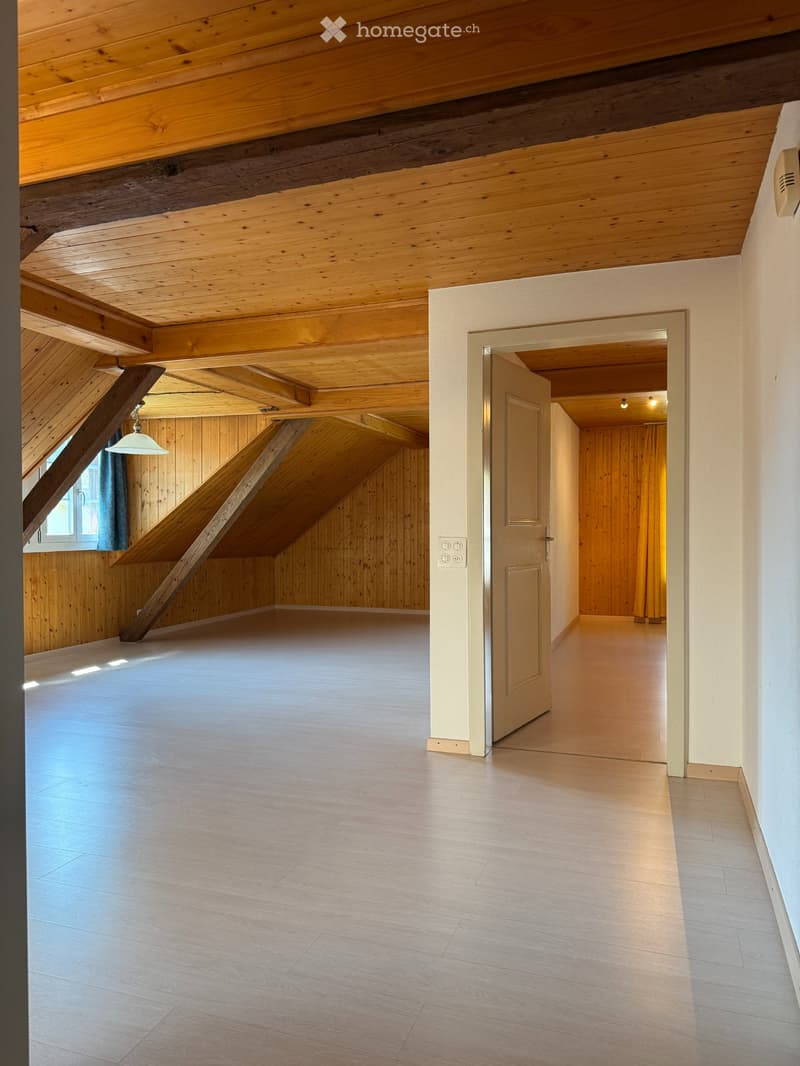 2 Zimmer Dachwohnung (2)