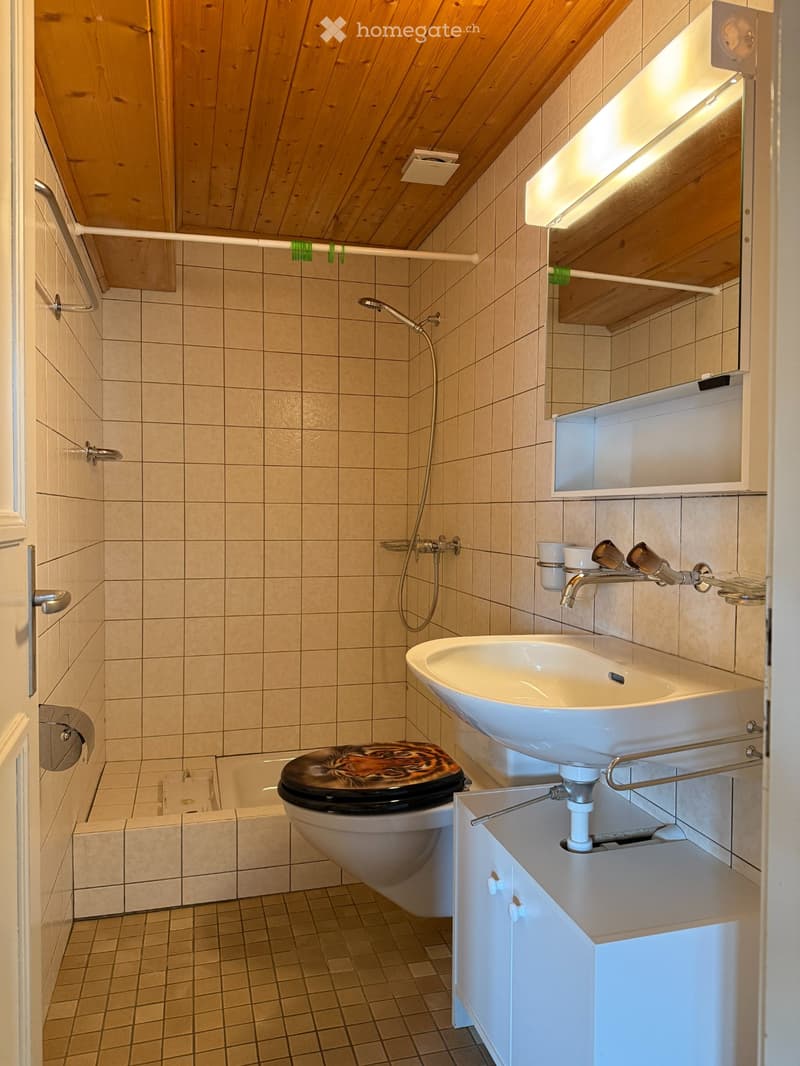 2 Zimmer Dachwohnung (3)