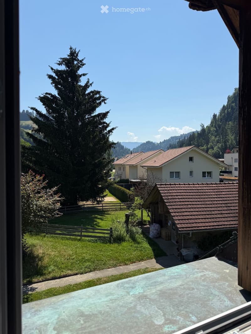 2 Zimmer Dachwohnung (4)