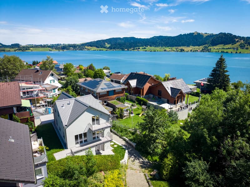 Modernes Neubau-Einfamilienhaus mit hochwertigem Innenausbau (1)