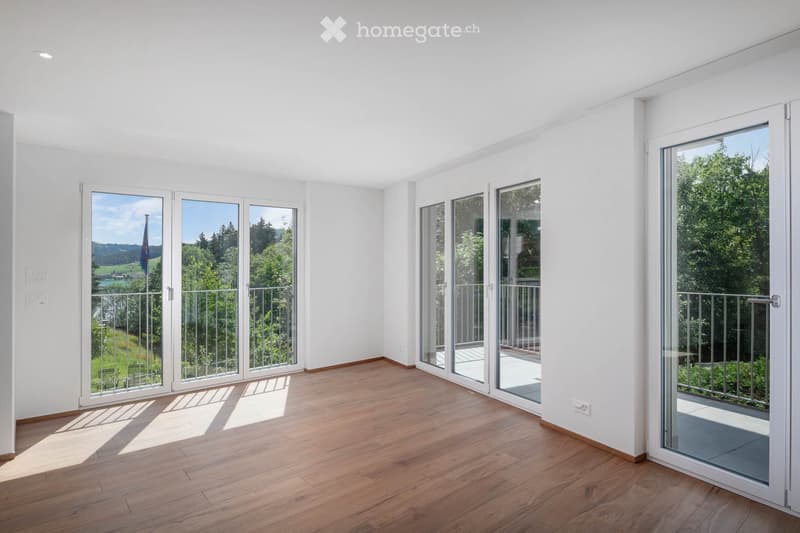 Modernes Neubau-Einfamilienhaus mit hochwertigem Innenausbau (4)