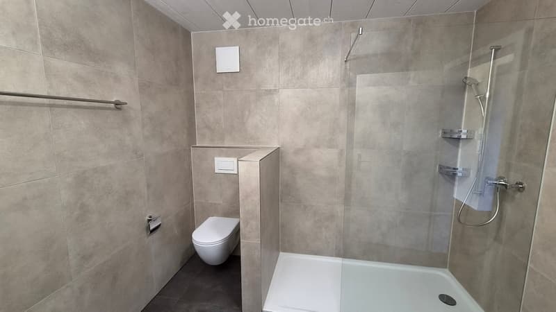 Neubau 4.5 Zi Maisonette Wohnung 160m2 (4)