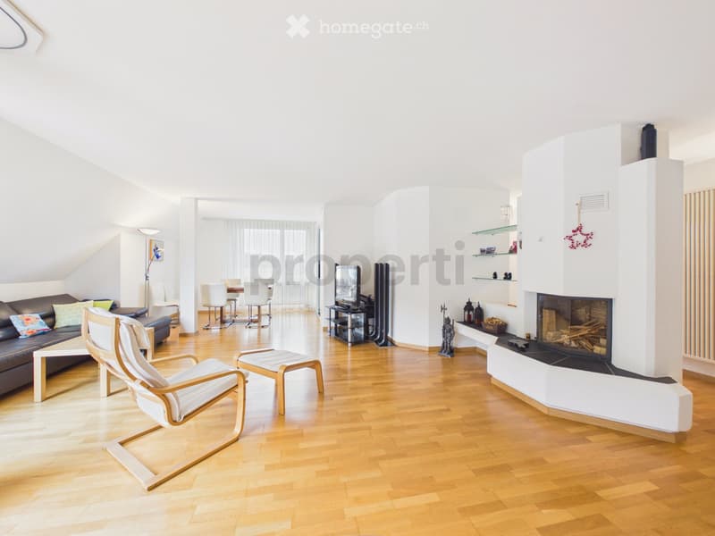 Grosszügige 4.5-(5.5) Attikawohnung in Horgen (1)