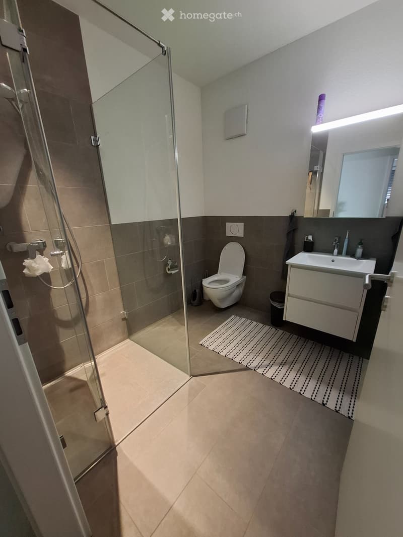 Schöne 5 ½ Zimmer-Wohnung mit herrlichem Ausblick zu mieten (2)