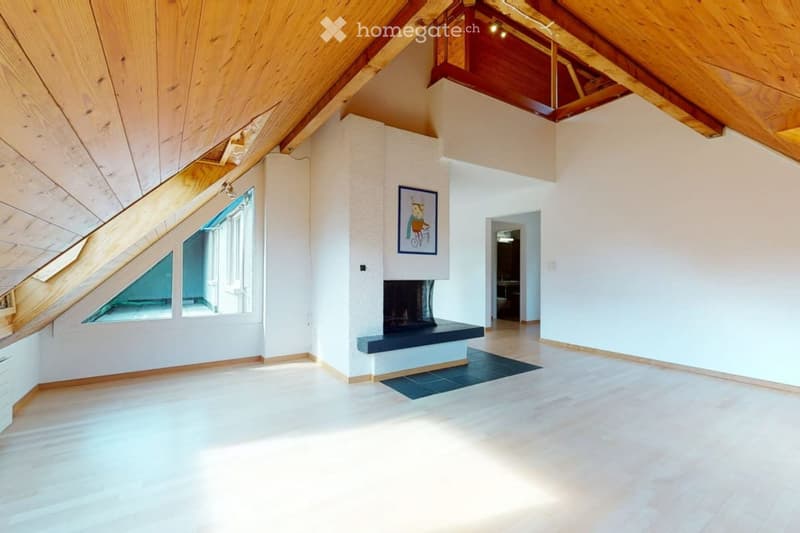 5.5-Zimmer-Galerie-Dachwohnung in Zürich-Affoltern (1)