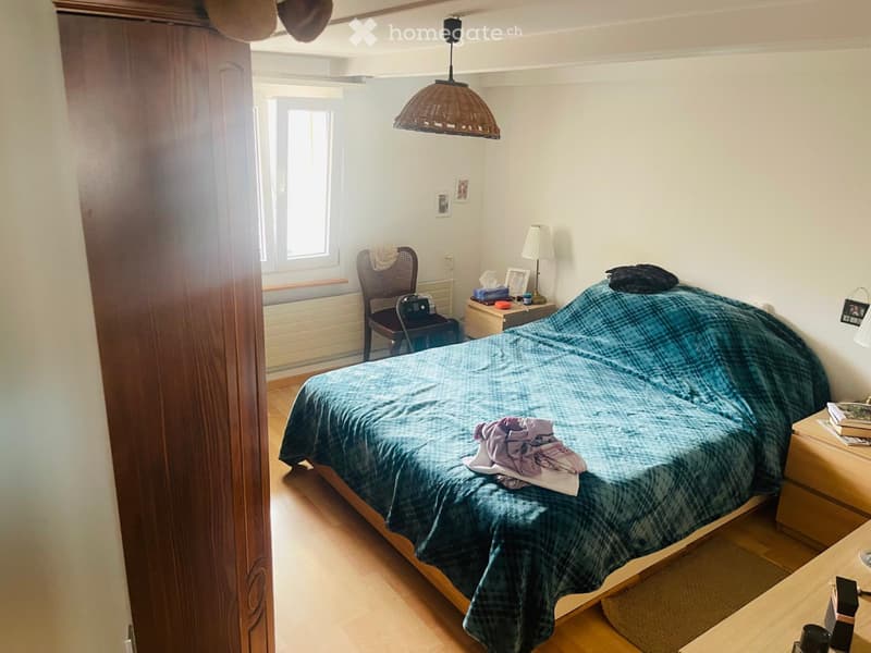 5 Zimmer  maisonetten Wohnung Wald zh (2)