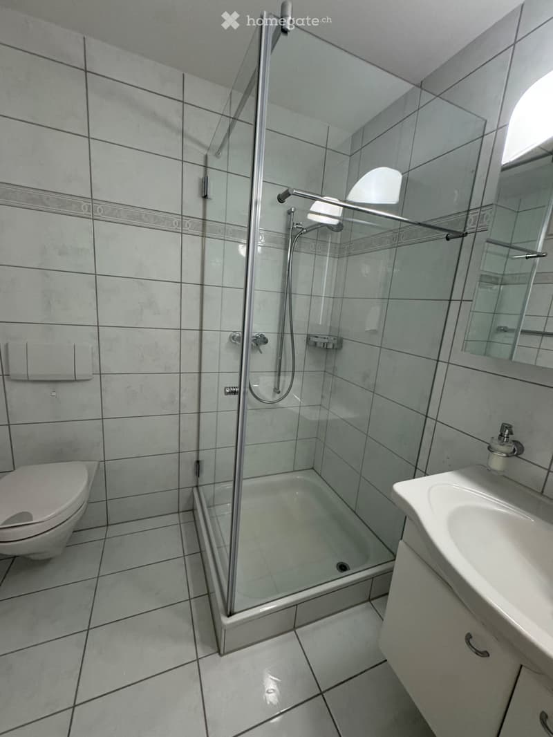 Exklusive 3.5 Zimmer-Wohung mit grossem Balkon. (8)