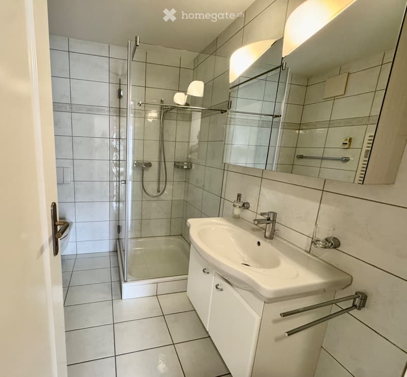 Exklusive 3.5 Zimmer-Wohung mit grossem Balkon. (7)
