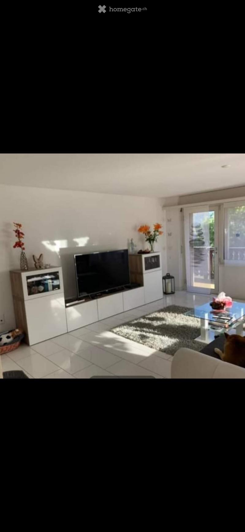 Zu vermieten, 4.5 Zi-Wohnung (3)
