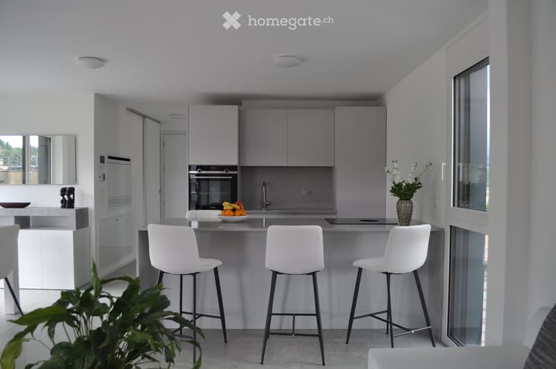 Ad Agno, affittasi bellissimo appartamento di 2½ locali (1)