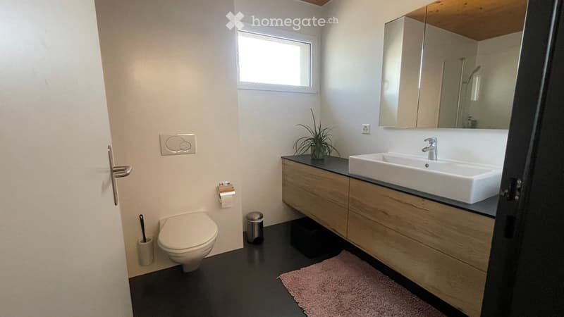 3.5-Zi-Attikawohnung mit grosser Dachterrasse + Einzelgarage (6)