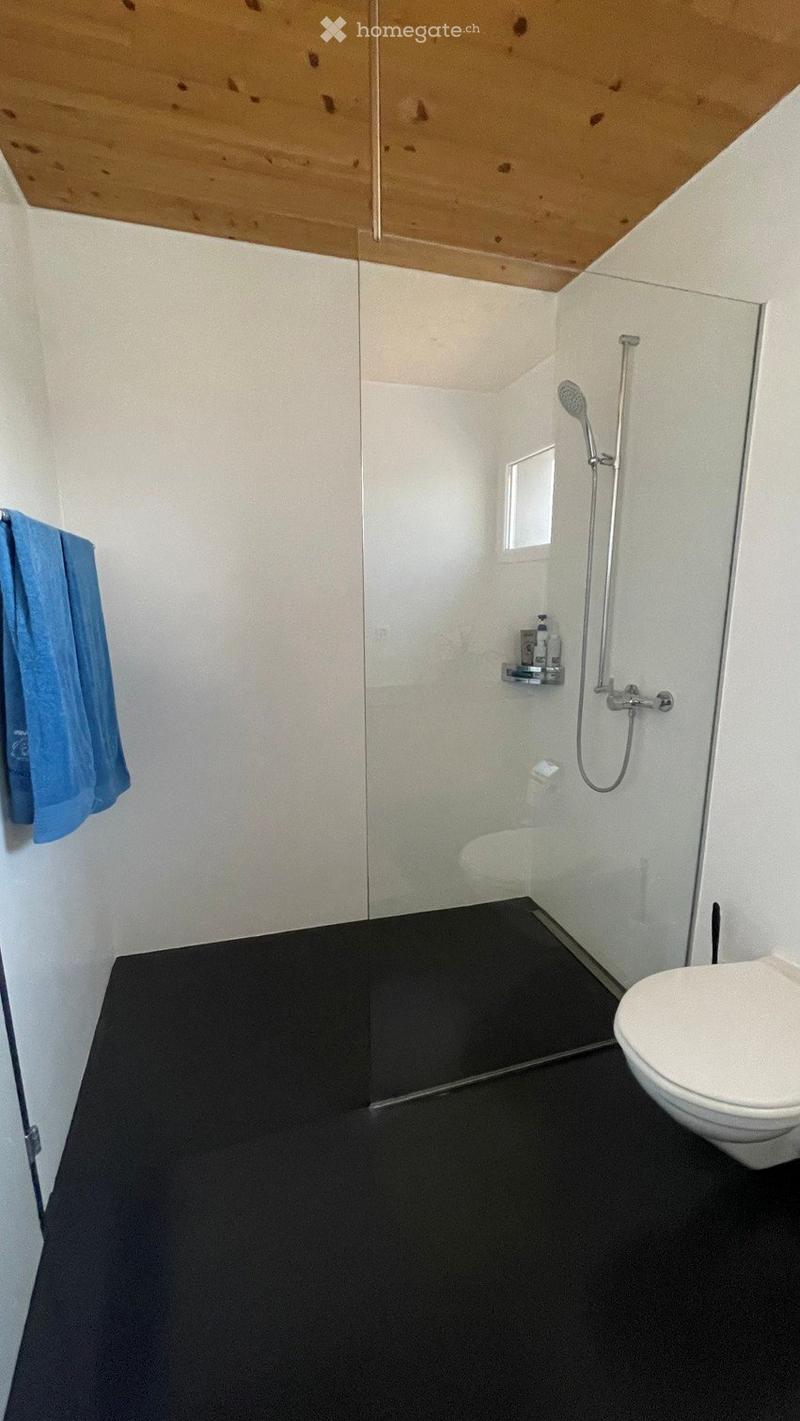 3.5-Zi-Attikawohnung mit grosser Dachterrasse + Einzelgarage (7)