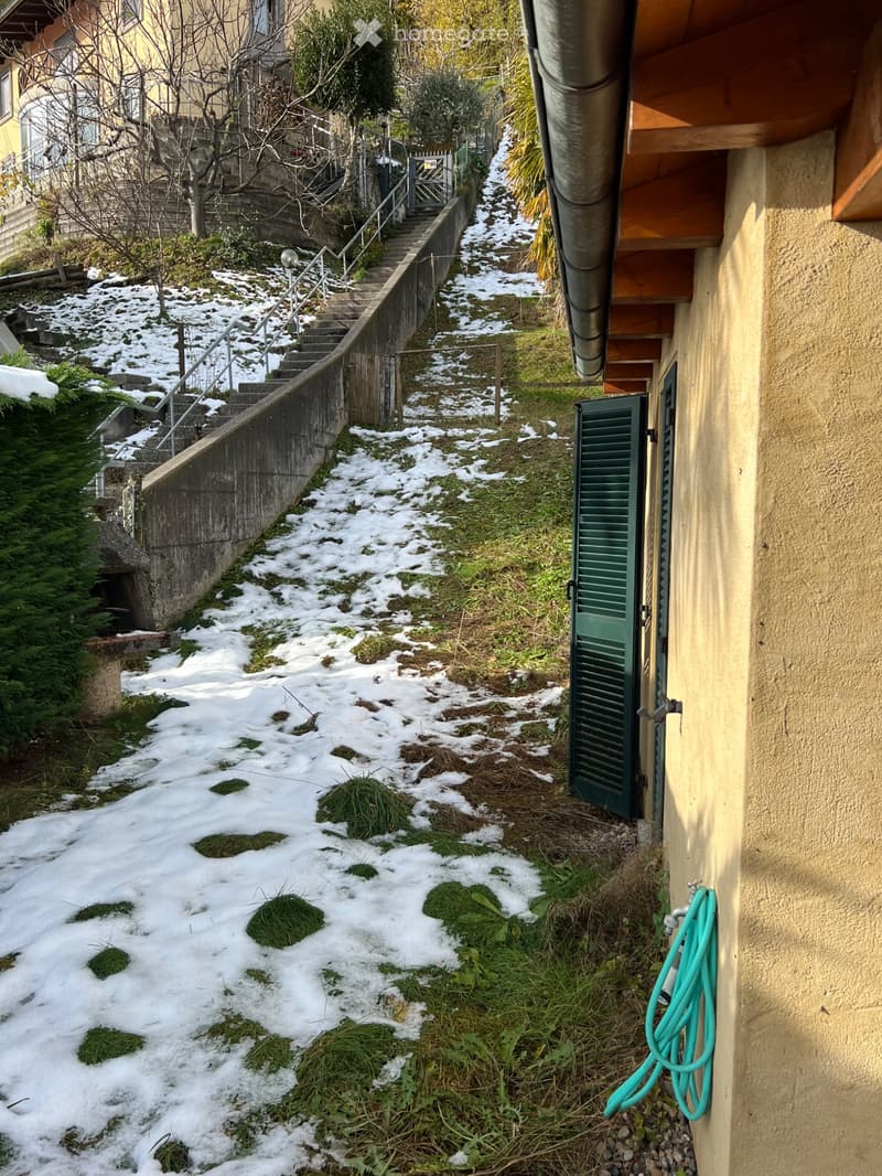 Subentrante per ampio appartamento con giardino privato (4)
